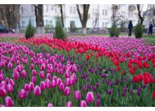 Галерея фото