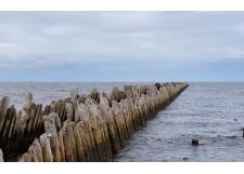 Галерея фото