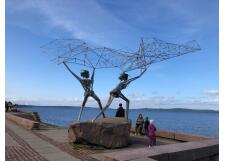 Галерея фото