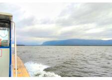 Галерея фото