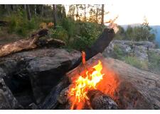 Галерея фото