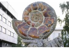 Галерея фото