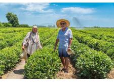 Галерея фото