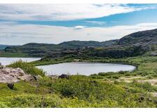 Галерея фото