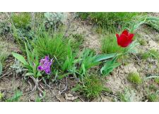 Галерея фото