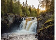 Галерея фото