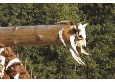 Галерея фото