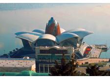 Галерея фото