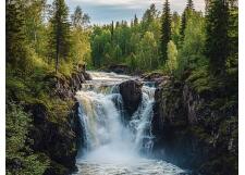 Галерея фото