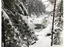 Галерея фото