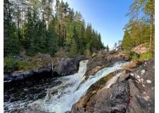 Галерея фото