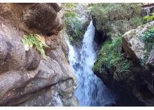 Галерея фото