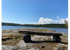 Галерея фото