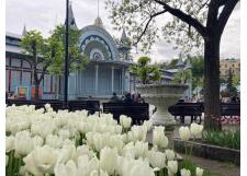 Галерея фото