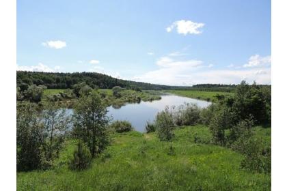 Национальный парк "Угра": Галкинские болота – Никола-Ленивец. "Чудеса на свете есть"