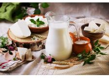 Галерея фото