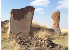 Галерея фото