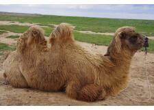 Галерея фото