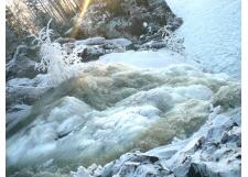 Галерея фото