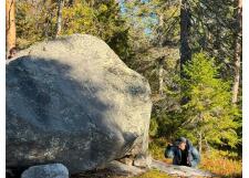 Галерея фото