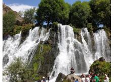 Галерея фото