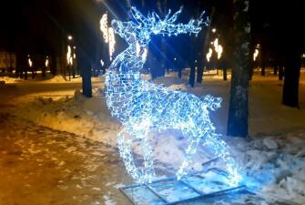 Новый год в Рязани - Новогодней столице России 2026 (3 дня, автобусный тур)*