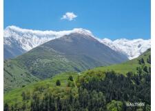 Галерея фото