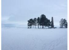 Галерея фото