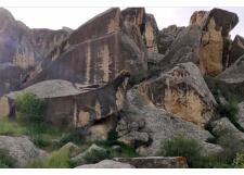 Галерея фото