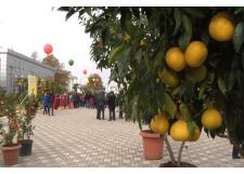 Галерея фото