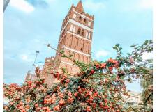 Галерея фото