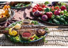 Галерея фото