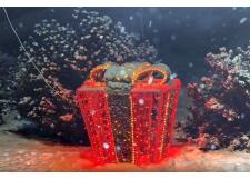 Галерея фото