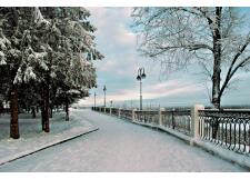 Галерея фото