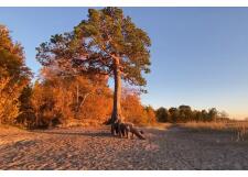 Галерея фото