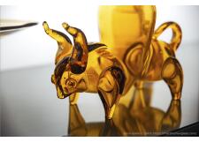 Галерея фото