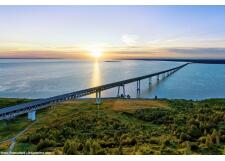 Галерея фото