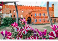 Галерея фото