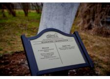 Галерея фото