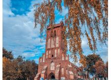 Галерея фото