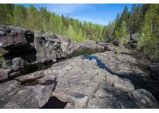 Галерея фото