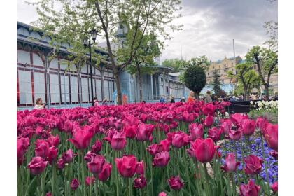 Праздничное Ожерелье Кавказских Минеральных Вод ( 6 дней + авиа или ж/д, май 2026)*