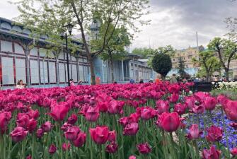Праздничное Ожерелье Кавказских Минеральных Вод ( 6 дней + авиа или ж/д, май 2026)*