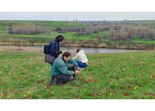 Галерея фото