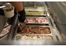 Галерея фото