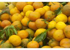 Галерея фото