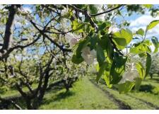 Галерея фото