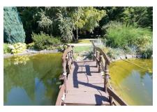 Галерея фото