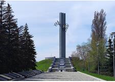 Галерея фото