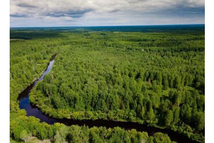 Путешествие в сердце Сибири (Томск-заповедник Томская писаница- Кузбасс с посещением угольного разреза, 6 дней + авиа)*
